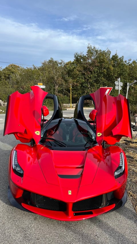 Red Ferrari sports car with open butterfly doors viewed from front, parked outdoors with trees in background